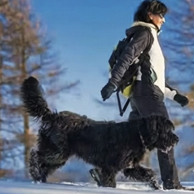 Крок 4: носити в зимовому взутті до 12 годин